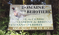 normandie chasse